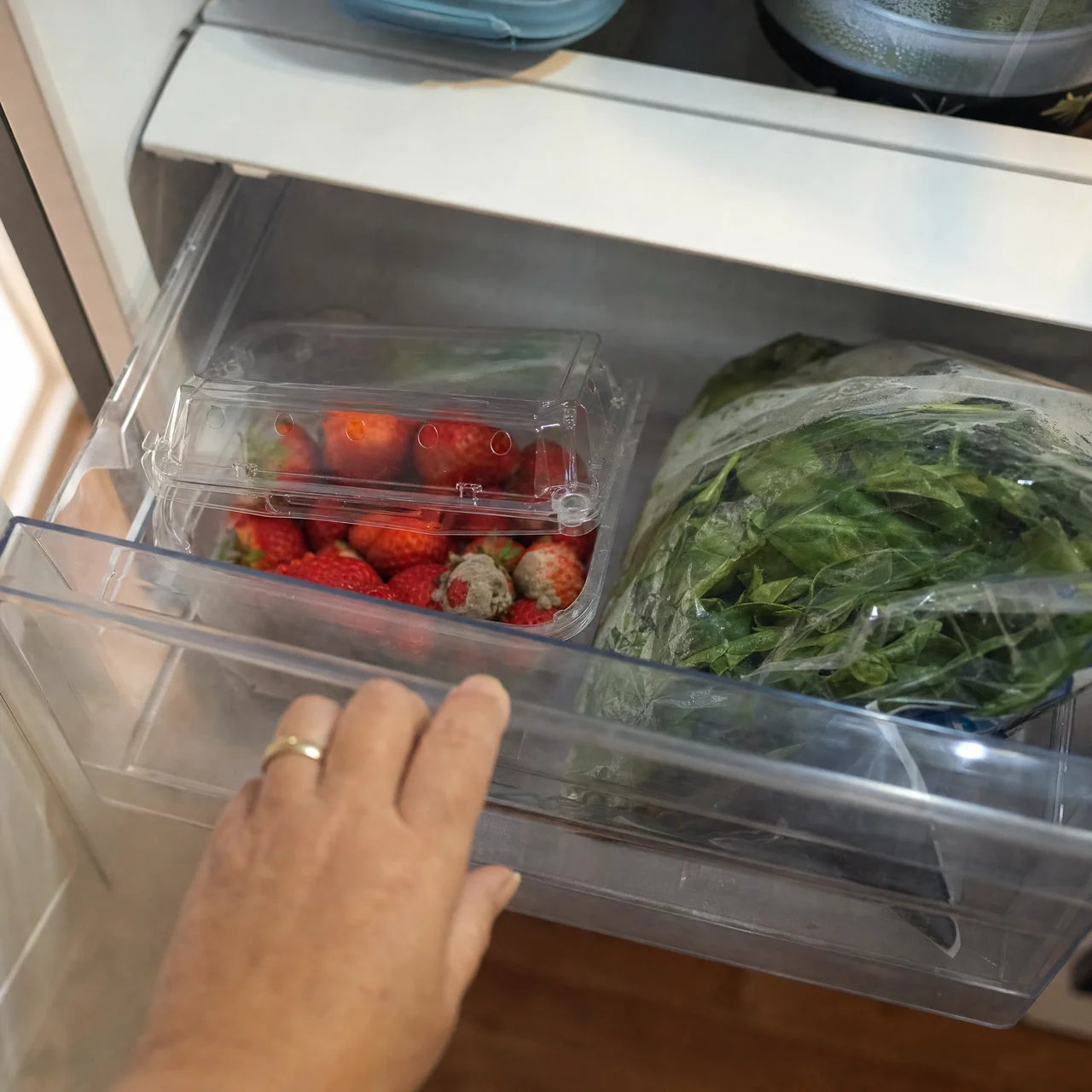 An open fridge drawer with moldy strawberries and a wilting bag of spinach